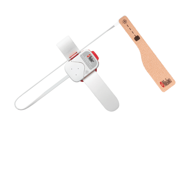 Rectangle