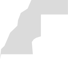 Polygon