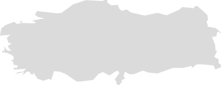 Polygon