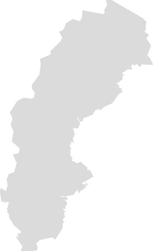 Polygon