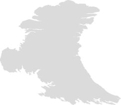 Polygon